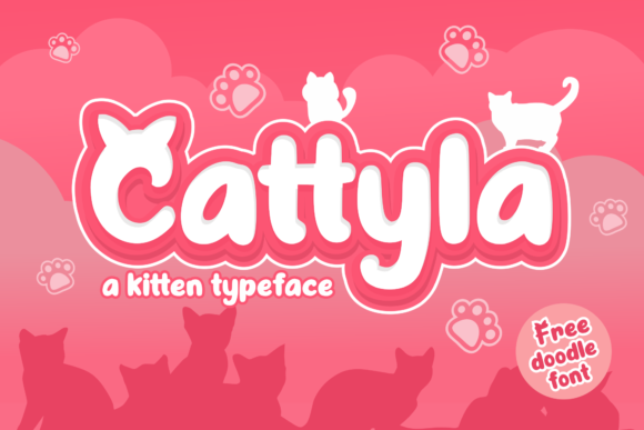 Cattyla: The Font That Makes Your Campaign Visuals Stand Out