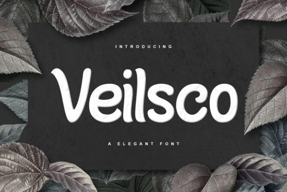 How Veilsco Creates Modern Campaign Visuals