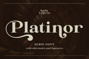 Platinor: A Serif Font That Bridges Classic and Modern Design